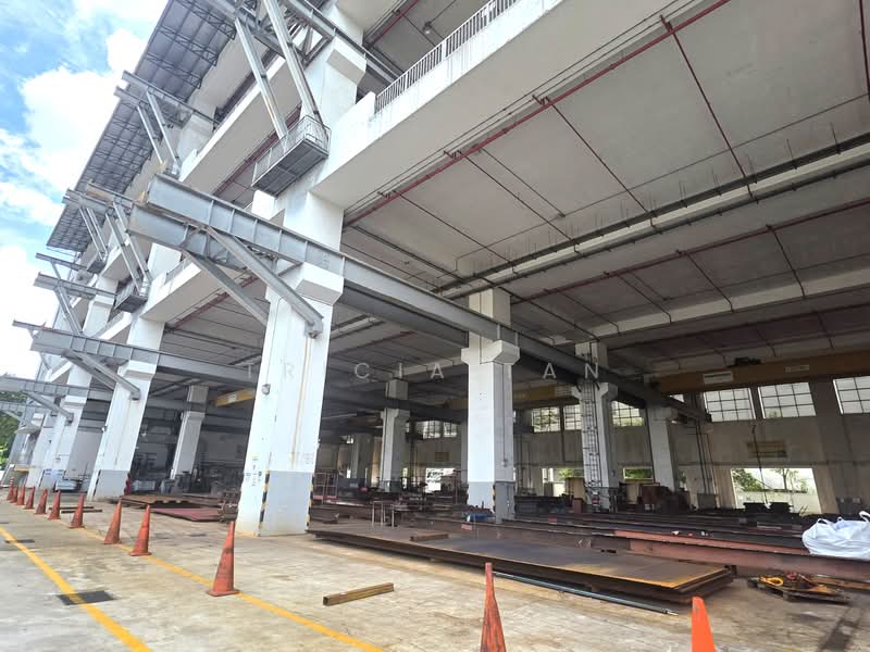 Senoko Industrial Estate, , 250,973 sqft, Factory / Workshop (B2) For Sale, by Tricia Tan, 500189620 - Exterior - CommercialGuru.com.sg