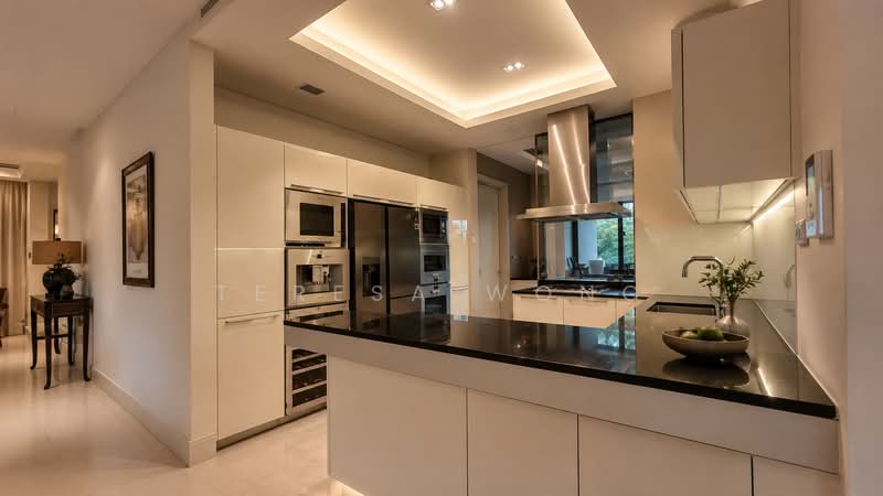 Parkview Eclat, 138 Grange Road, 3 Bedrooms, 2,895 sqft, Condominium For Sale, by Teresa Wong, 500189904 - Kitchen - PropertyGuru.com.sg