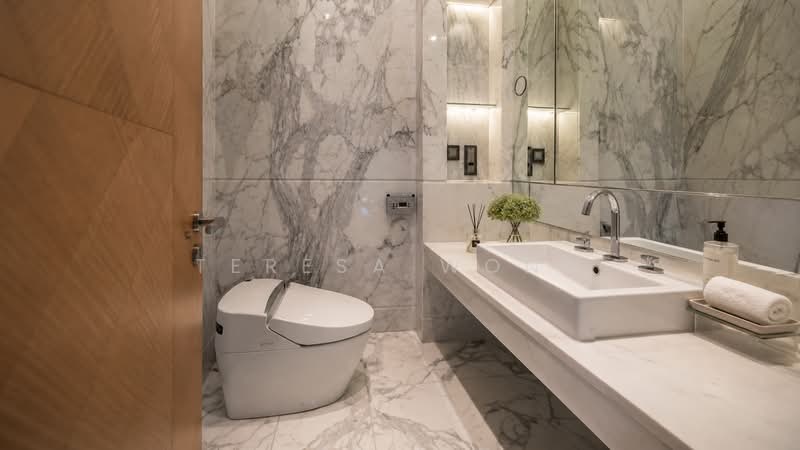 Parkview Eclat, 138 Grange Road, 3 Bedrooms, 2,895 sqft, Condominium For Sale, by Teresa Wong, 500189904 - Bathroom - PropertyGuru.com.sg