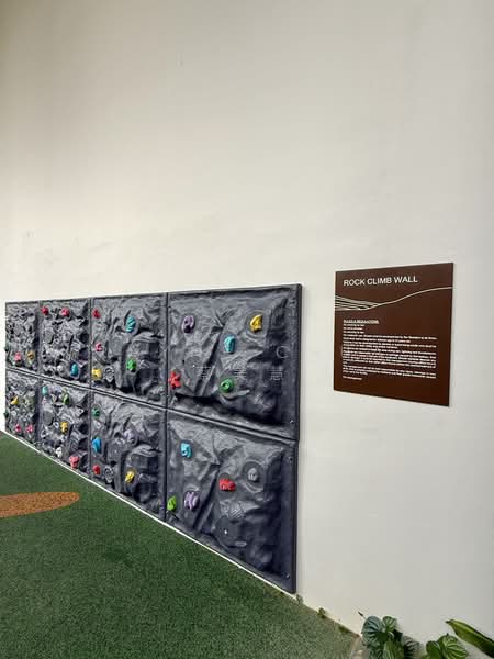 The Botany at Dairy Farm, 7 Dairy Farm Walk, 1 Bedroom, 506 sqft, Condominium For Sale, by Rayne Chua 蔡美慧, 500189968 - Rock Climb Wall - PropertyGuru.com.sg