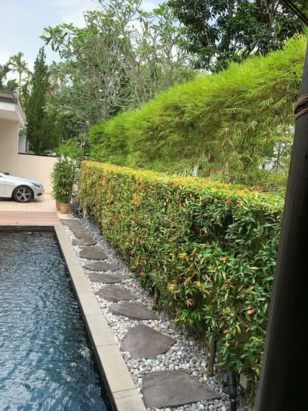 The Greenwood, 143 Greenwood Avenue, 5 Bedrooms, 3,800 sqft, Terraced House For Rent, by PATRICIA, 500190147 - Exterior - PropertyGuru.com.sg