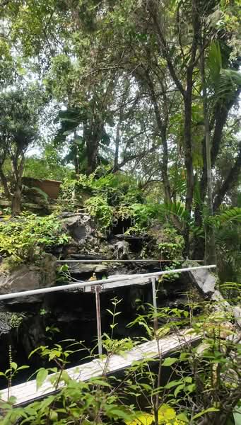 Lorong Siglap, , 5 Bedrooms, 4,500 sqft, Bungalow House For Sale, by Bjorn Chua, 500190410 - Garden - PropertyGuru.com.sg