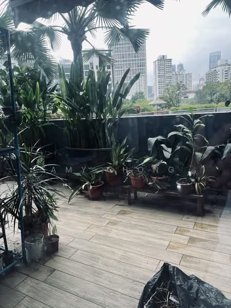 The Quayside, 60 Robertson Quay, 2 Bedrooms, 1,350 sqft, Apartment For Rent, by Amy Chong, 500190421 - Balcony - PropertyGuru.com.sg