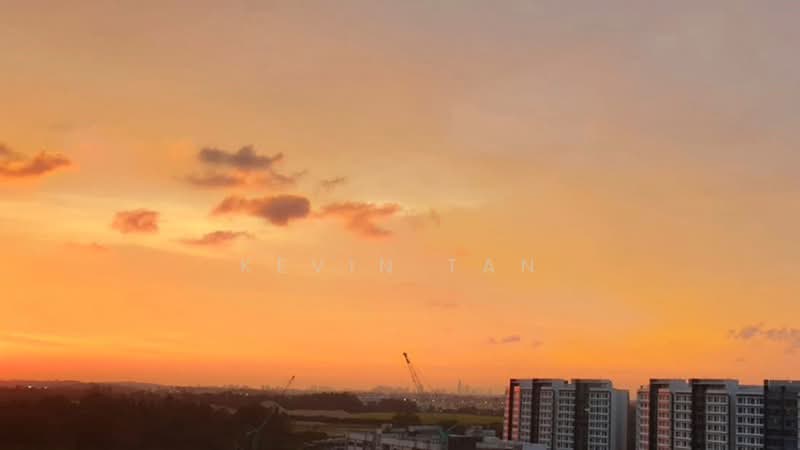 A Treasure Trove, 50 Punggol Walk, 2 Bedrooms, 915 sqft, Condominium For Rent, by Kevin Tan, 500190567 - Would u rather see nature’s Picasso or your neighbour’s living room, vice-versa? - PropertyGuru.com.sg