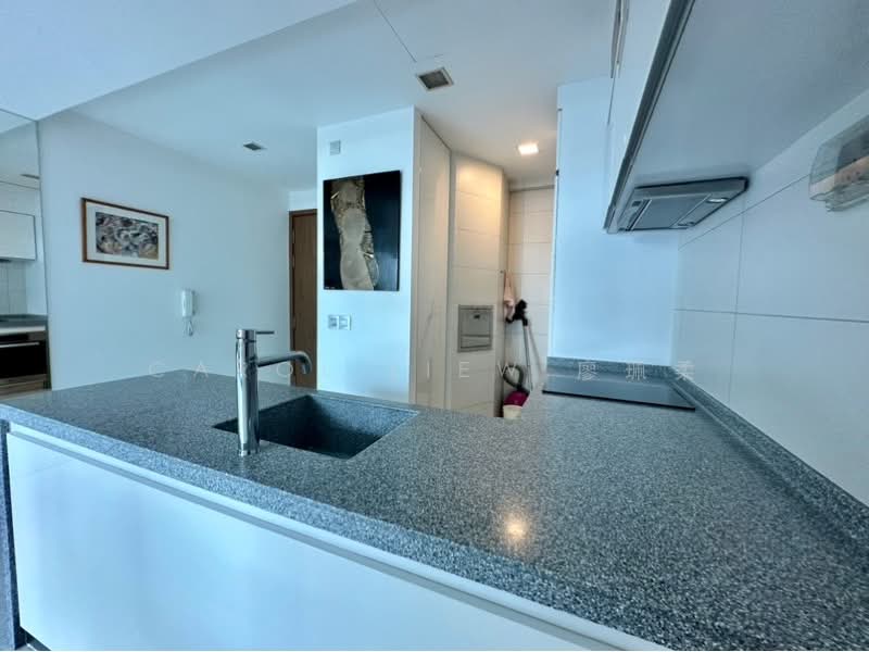 Suites at Orchard, 38 Handy Road, 2 Bedrooms, 829 sqft, Condominium For Rent, by Carol Liew 廖珮柔, 500190655 - PropertyGuru.com.sg
