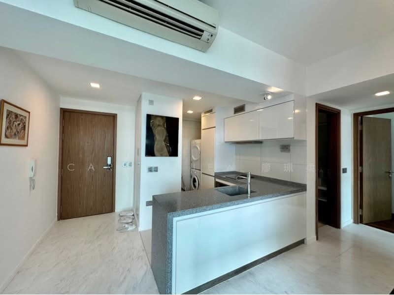 Suites at Orchard, 38 Handy Road, 2 Bedrooms, 829 sqft, Condominium For Rent, by Carol Liew 廖珮柔, 500190655 - PropertyGuru.com.sg