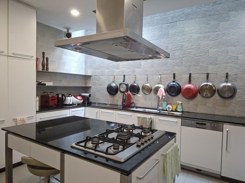 Trevose Crescent Dalkeith Road, Berrima Road, 5 Bedrooms, 6,000 sqft, Bungalow House For Sale, by Steve Teo, 500190684 - Kitchen - PropertyGuru.com.sg