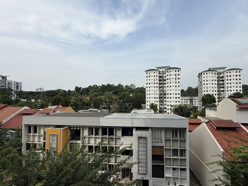 Residences @ Emerald Hill, 119 Emerald Hill Road, 5 Bedrooms, 5,791 sqft, Cluster House For Sale, by Eric KANG (江瑞裕), 500191116 - Exterior - PropertyGuru.com.sg