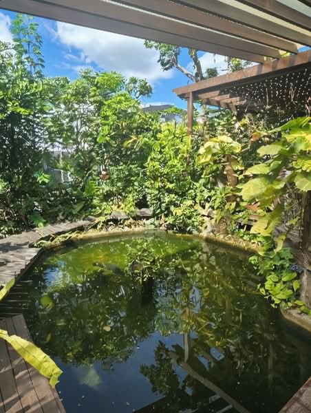 ⭐️⭐️LANDED7772@ Semi-d Within 1km to Catholic High Sch & Junction 8, Jln Binchang. Call 9321 7772 to view, 4 Bedrooms, 3,886 sqft, Semi-Detached House For Sale, by Daniel Haw, 500191439 - PropertyGuru.com.sg