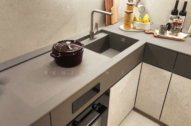 Union Square Residences, 28 Havelock Road,, 2 Bedrooms, 710 sqft, Condominium For Sale, by Benjamin Lee, 500191748 - Kitchen - PropertyGuru.com.sg