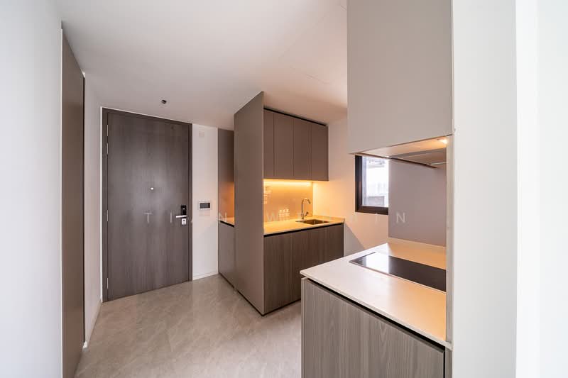 Piccadilly Grand, Northumberland Road, 2 Bedrooms, 678 sqft, Condominium For Rent, by Tian Wenbin, 500192007 - Kitchen - PropertyGuru.com.sg