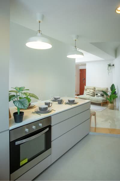 Emerald Garden, 33 Club Street, Room Rental, 150 sqft, Condominium For Rent, by Liu Siqi, 500192579 - Kitchen - PropertyGuru.com.sg