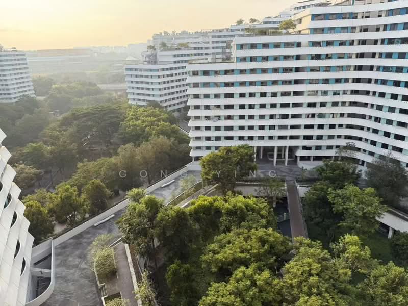 308C Punggol Walk, 308C Punggol Walk, 3 Bedrooms, 990 sqft, HDB Flat For Rent, by Gong Ying, 500192818 - Exterior - PropertyGuru.com.sg