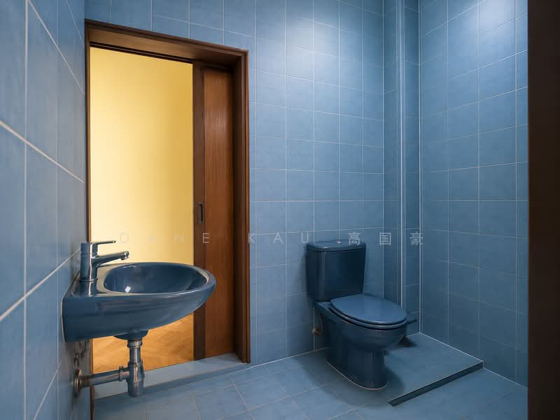 Richards Avenue, , 4 Bedrooms, 3,000 sqft, Terraced House For Sale, by Dane Kau 高国豪, 500193089 - Bathroom - PropertyGuru.com.sg