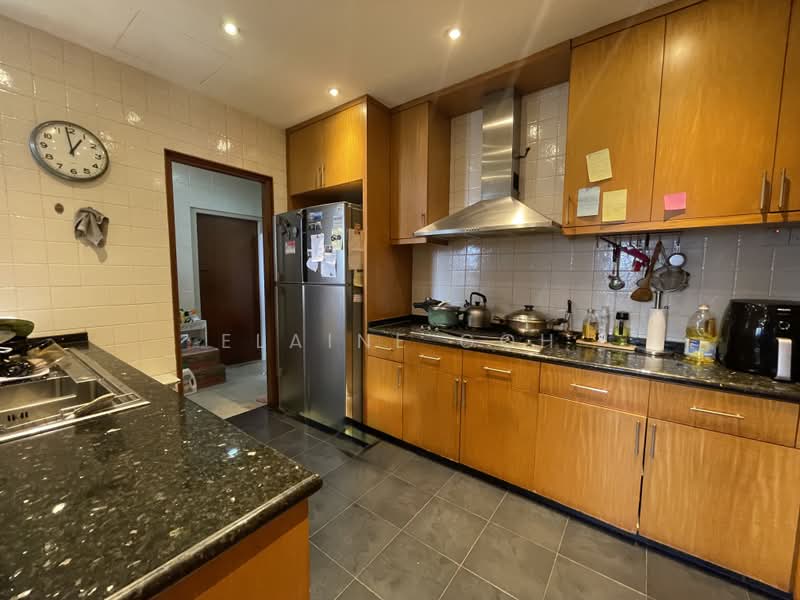 Horizon Towers, 15 Leonie Hill Road, 4 Bedrooms, 2,580 sqft, Condominium For Sale, by Elaine Goh, 500193509 - Kitchen - PropertyGuru.com.sg