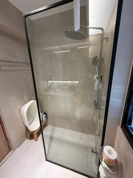 113B Alkaff Crescent, 113B Alkaff Crescent, 1 Bedroom, 800 sqft, HDB Flat For Rent, by Sherwin Lim, 500193524 - Bathroom - PropertyGuru.com.sg