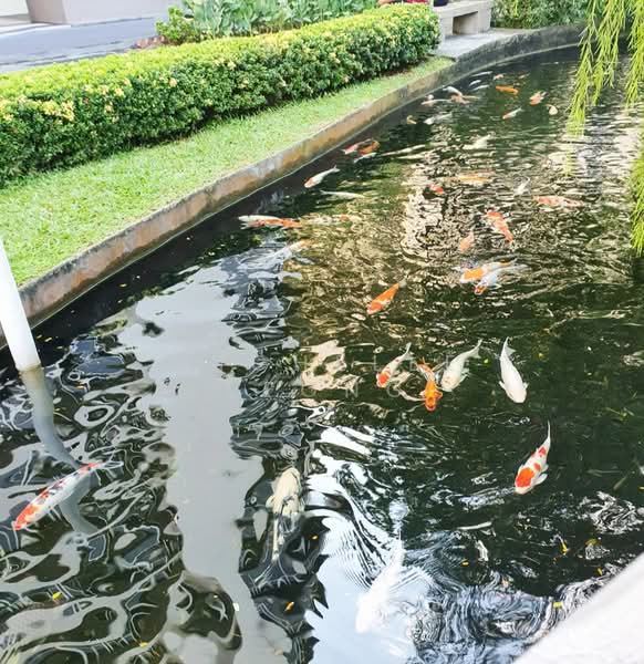 Bullion Park, 160 Lentor Loop, 3 Bedrooms, 1,259 sqft, Condominium For Sale, by Michelle Leong, 500193626 - Exterior - PropertyGuru.com.sg