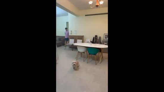 Maple Woods, 985 Bukit Timah Road, 3 Bedrooms, 1,335 sqft, Condominium For Rent, by Christopher Kwek, 500194001 - PropertyGuru.com.sg