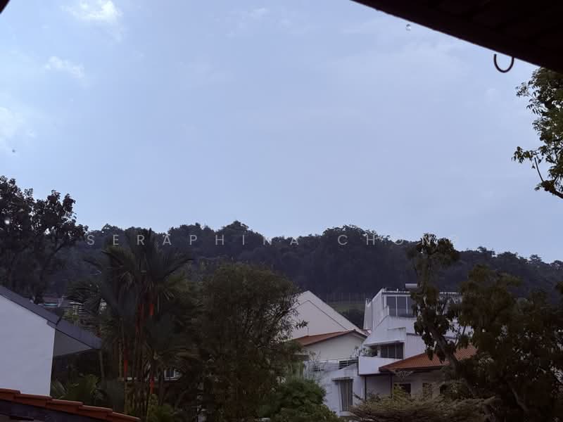 ⭐️WELL-RENO SEMI-D FOR SALE❤️NEAR GREENERY☎️9.8.2.8.0.0.6.4, Jalan Gumilang/Jalan Remaja/Elizabeth Dr/Jalan Intan/Hillview Cres/Jalan Asas/Cashew/Green Pavilion, 5 Bedrooms, 3,500 sqft, Semi-Detached House For Sale, by Seraphina Chong, 500194087 - Exterior - PropertyGuru.com.sg