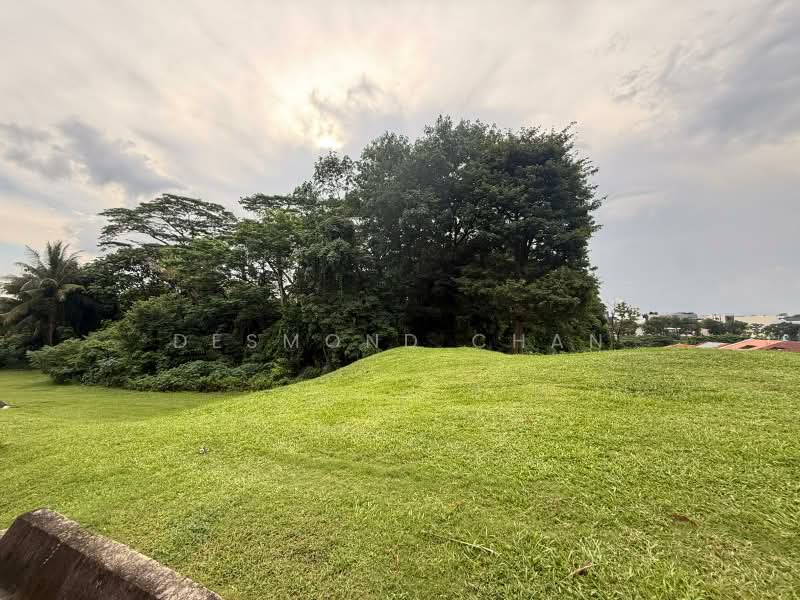 Teacher's Housing Estate, 11 Kalidasa Avenue, 4 Bedrooms, 2,700 sqft, Corner Terrace For Rent, by Desmond Chan, 500194108 - Garden - PropertyGuru.com.sg