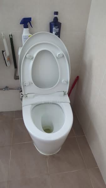 106 Spottiswoode Park Road, 106 Spottiswoode Park Road, Room Rental, 130 sqft, HDB Flat For Rent, by David Shu, 500194246 - Bathroom - PropertyGuru.com.sg