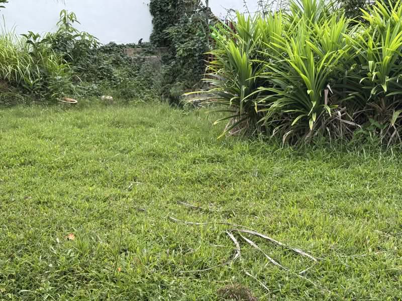 big land at exclusive bungalow zone to rebuild your dreamed home!, Frankel Estate - call 8130 3636 to view now!, 5 Bedrooms, 2,500 sqft, Bungalow House For Sale, by Kim Yan 金燕, 500194433 - Exterior - PropertyGuru.com.sg