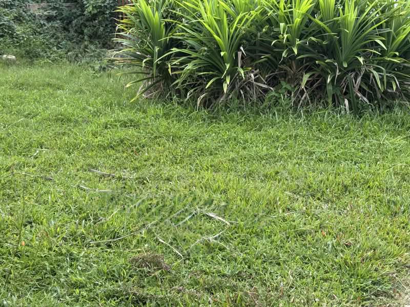 big land at exclusive bungalow zone to rebuild your dreamed home!, Frankel Estate - call 8130 3636 to view now!, 5 Bedrooms, 2,500 sqft, Bungalow House For Sale, by Kim Yan 金燕, 500194433 - Exterior - PropertyGuru.com.sg