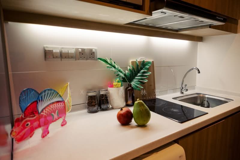 JOO CHIAT AREA, , Room Rental, 280 sqft, Shophouse For Rent, by Lex Lim 林双麟, 500194667 - Kitchen - PropertyGuru.com.sg