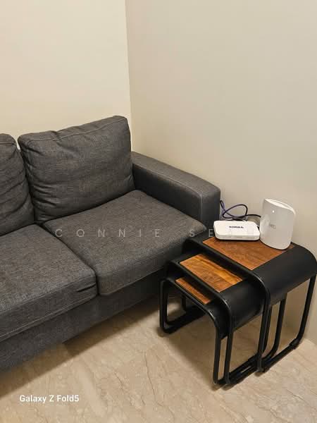 Teresa Ville, 1001 Lower Delta Road, 5 Bedrooms, 1,900 sqft, Condominium For Rent, by Connie Seah, 500194984 - PropertyGuru.com.sg