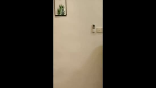 KEW CRESCENT, KEW CRESCENT, Room Rental, 350 sqft, Terraced House For Rent, by Irenne Tong, 500195220 - PropertyGuru.com.sg
