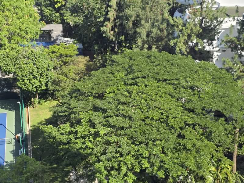 Regency Park, 11 Nathan Road, 3 Bedrooms, 3,175 sqft, Condominium For Sale, by Alex Poh, 500195318 - Exterior - PropertyGuru.com.sg