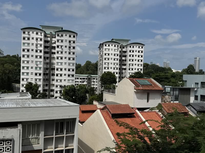 Residences @ Emerald Hill, 119 Emerald Hill Road, 5 Bedrooms, 5,769 sqft, Condominium For Sale, by Rudy Tedja, 500195345 - PropertyGuru.com.sg