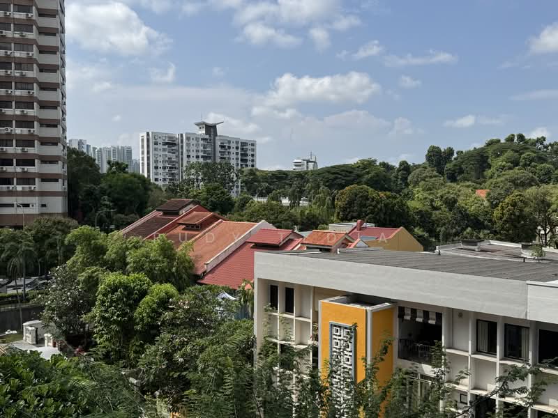 Residences @ Emerald Hill, 119 Emerald Hill Road, 5 Bedrooms, 5,769 sqft, Condominium For Sale, by Rudy Tedja, 500195345 - PropertyGuru.com.sg
