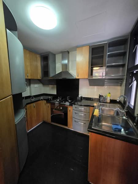 River Place, 62 Havelock Road, Room Rental, 120 sqft, Condominium For Rent, by Joanne Chua 蔡蕙励, 500195386 - Kitchen - PropertyGuru.com.sg