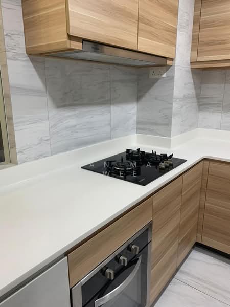 The Poiz Residences, 6 Meyappa Chettiar Road, 3 Bedrooms, 1,206 sqft, Condominium For Rent, by Chan May Hwee, 500195520 - Kitchen - PropertyGuru.com.sg