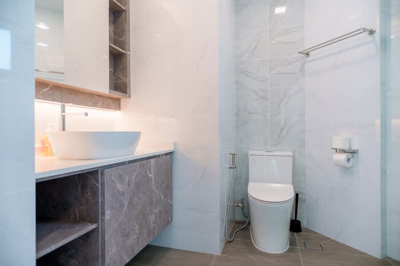 Oleanas Residences, 42 Kim Yam Road, Room Rental, 200 sqft, Condominium For Rent, by Hei Homes, 500195531 - Bathroom - PropertyGuru.com.sg