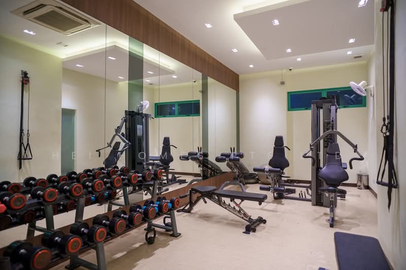 Oleanas Residences, 42 Kim Yam Road, Room Rental, 200 sqft, Condominium For Rent, by Hei Homes, 500195531 - Gym - PropertyGuru.com.sg