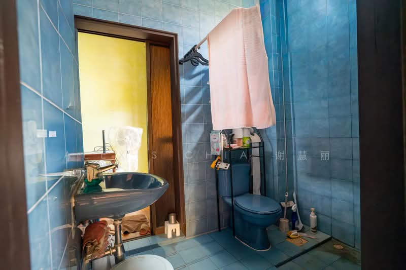 4 bedder Terrace near Kovan enclave, Richards Avenue, 4 Bedrooms, 3,000 sqft, Terraced House For Sale, by Alexis Chia 谢慧丽, 500195594 - Bathroom - PropertyGuru.com.sg
