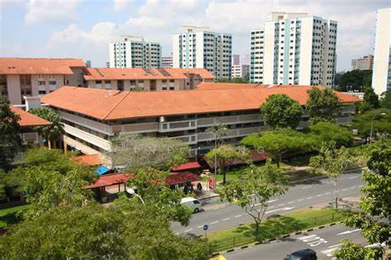 253 SERANGOON CENTRAL DRIVE