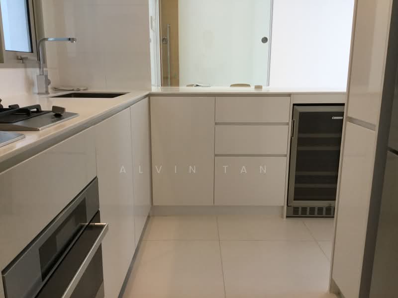 RV Residences, 461 River Valley Road, 3 Bedrooms, 851 sqft, Condominium For Rent, by Alvin Tan, 500195969 - Kitchen - PropertyGuru.com.sg