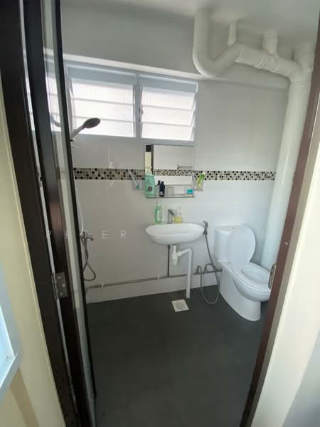 294 Tampines Street 22, 294 Tampines Street 22, Room Rental, 110 sqft, HDB Flat For Rent, by Peter Loh 彼得, 500196280 - Common Bathroom - PropertyGuru.com.sg