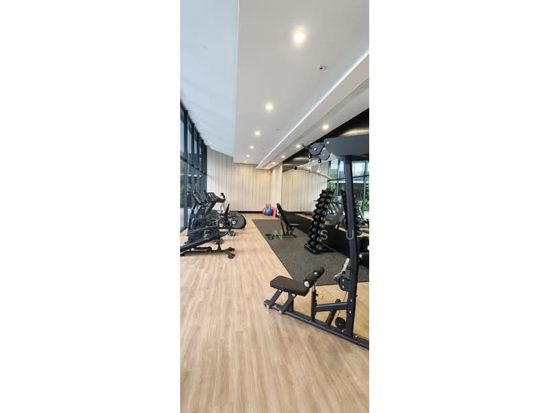 Piccadilly Grand, Northumberland Road, Studio, 280 sqft, Condominium For Rent, by Kevin Su, 500196374 - Gym - PropertyGuru.com.sg