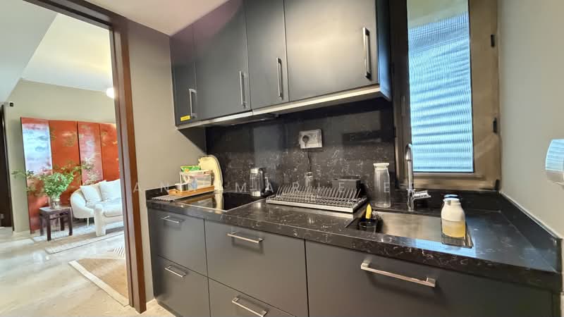 One Draycott, 1 Draycott Park, 2 Bedrooms, 732 sqft, Condominium For Sale, by Ann Marie Ee, 500196386 - Kitchen - PropertyGuru.com.sg