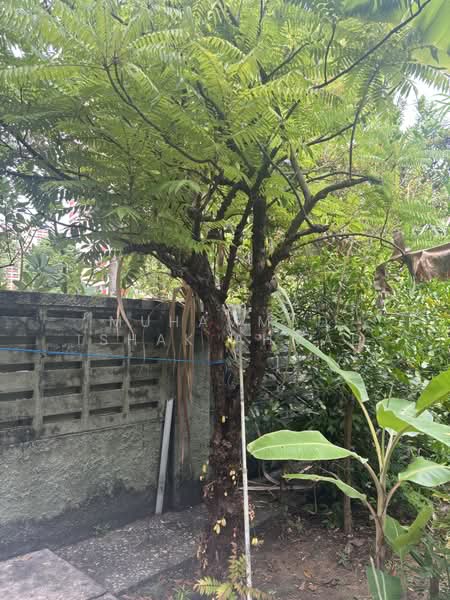 Frankel Siglap Katong East Coast Bungalow, , 6 Bedrooms, 3,000 sqft, Detached House For Sale, by Muhammad Ishak Ahmad, 500196412 - PropertyGuru.com.sg