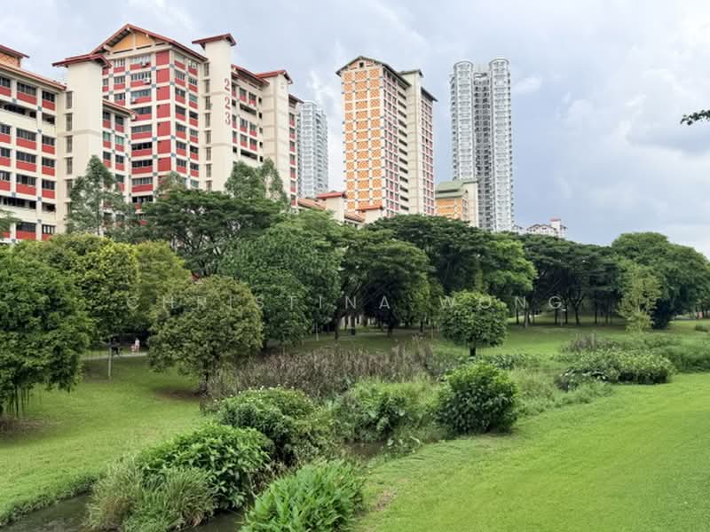 223 Bishan Street 23, 223 Bishan Street 23, 4 Bedrooms, 1,302 sqft, HDB Flat For Rent, by Christina Wong, 500196476 - Exterior - PropertyGuru.com.sg