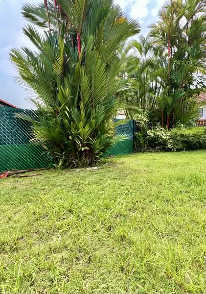 Jalan Sejarah, Jalan Asuhan, Jalan Bahasa, University Road, , 4 Bedrooms, 2,500 sqft, Detached House For Sale, by Roy Low, 500196545 - Garden - PropertyGuru.com.sg