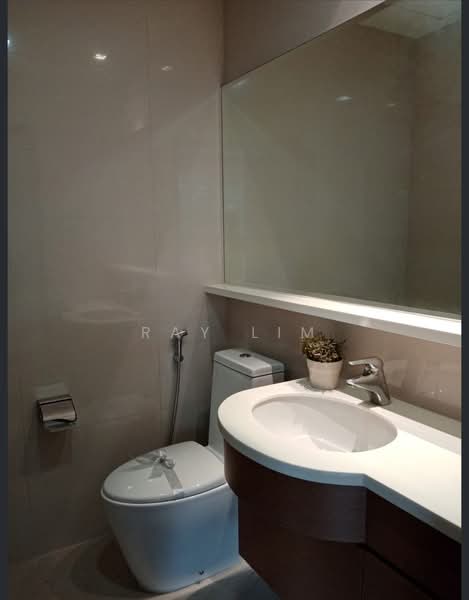 Nassim Regency, 37 Nassim Road, 3 Bedrooms, 2,055 sqft, Apartment For Rent, by Ray Lim, 500196632 - Bathroom - PropertyGuru.com.sg