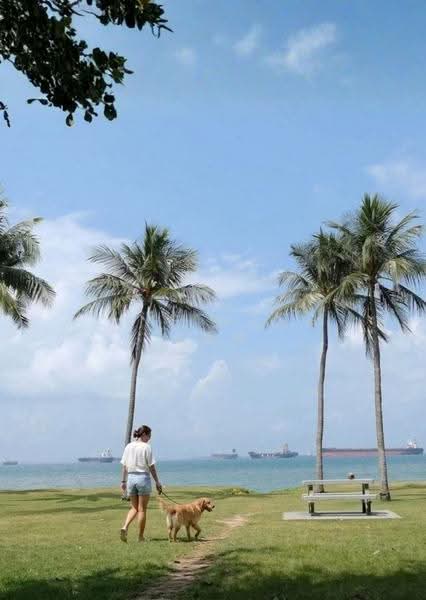 Vela Bay, 1 Bayshore Walk, Bedok / Upper East Coast, 5 Bedrooms, 1,765 sqft, Condominium For Sale, by Ling Wong 王秀玲, 500196694 - East Coast Park - PropertyGuru.com.sg