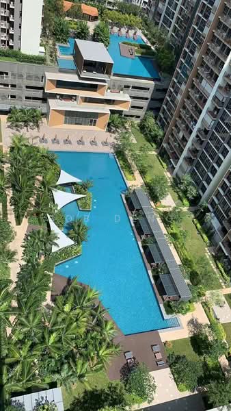 Sol Acres, 8 Choa Chu Kang Grove, 3 Bedrooms, 1,044 sqft, Executive Condominium For Sale, by Bob Deng, 500196696 - Pool - PropertyGuru.com.sg