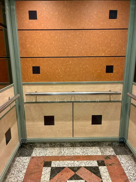 Melville Park, 12 Simei Street 1, 3 Bedrooms, 1,475 sqft, Apartment For Sale, by Irene Tan, 500196763 - Renovated Lift Interior - PropertyGuru.com.sg